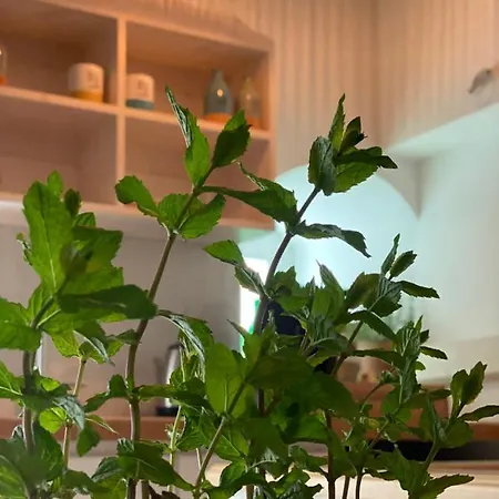 アパート A Casa Del Console