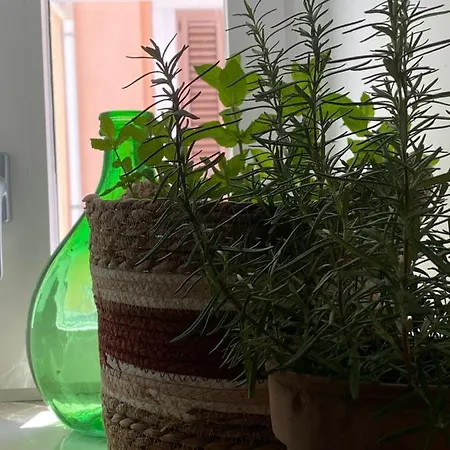 A Casa Del Console Appartement Manfredonia